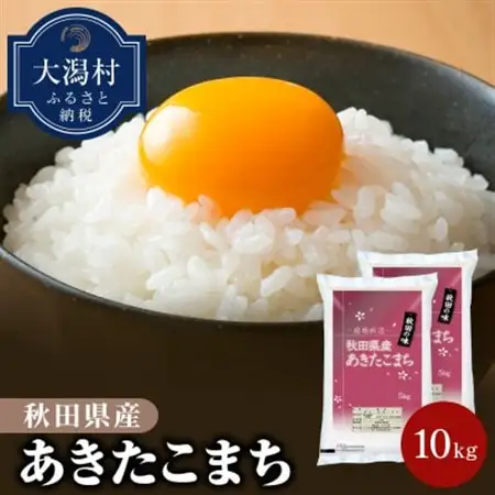 秋田県産あきたこまち10kg【令和7年産】【配送不可地域：離島・沖縄県】【1381404】