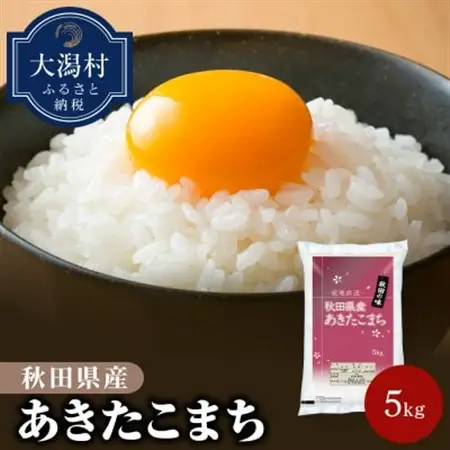 秋田県産あきたこまち5kg【令和7年産】【配送不可地域：離島・沖縄県】【1381409】