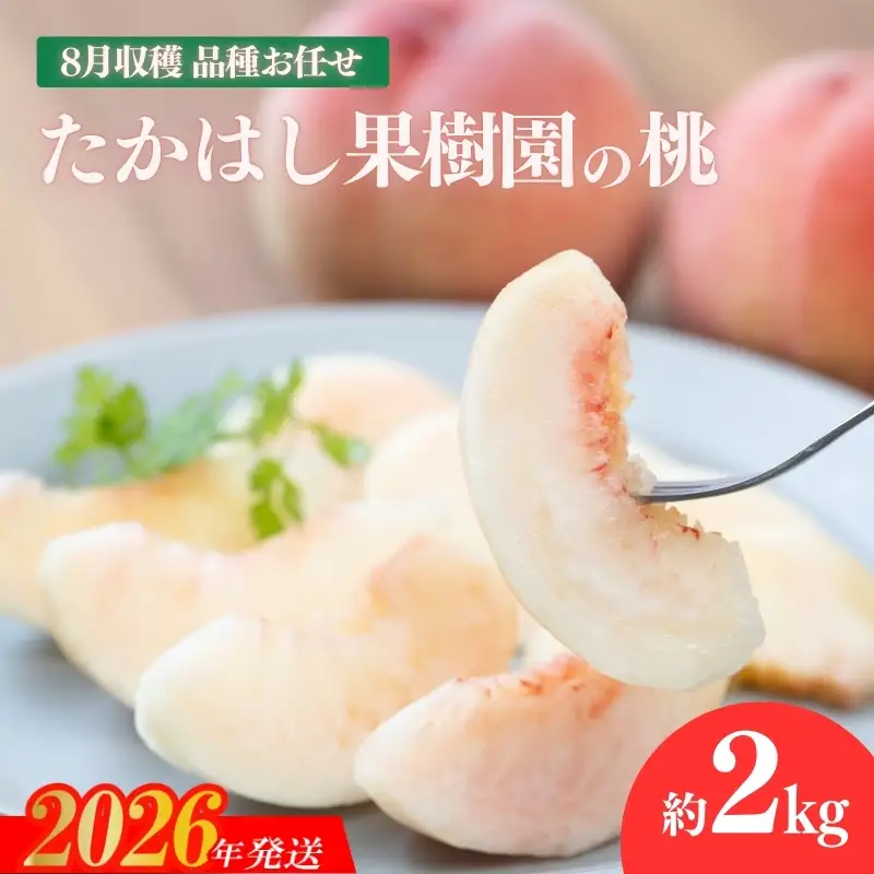 No.2531たかはし果樹園の桃　8月収穫約2kg【2026年発送 先行予約】