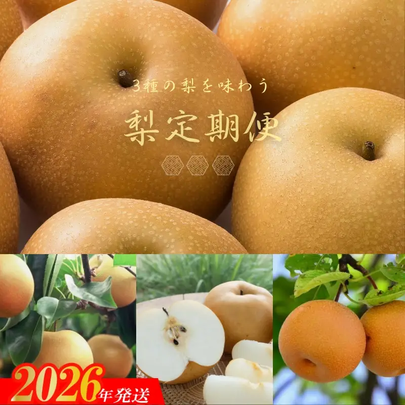 No.2535梨の3品種定期便【2026年発送】