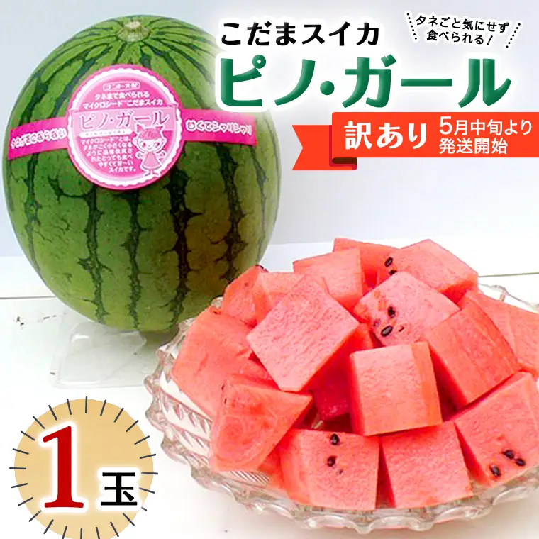 【 訳あり 】こだまスイカ ピノ・ガール（ １玉 ） 【 2026年5月中旬より発送開始 】 感動必至！ タネが気にならない すいか スイカ 西瓜 旬 旬の果実 旬のフルーツ くだもの 果実 フルーツ 夏 小玉スイカ 小玉 美味しい 茨城 昼めし旅 [BC058sa]