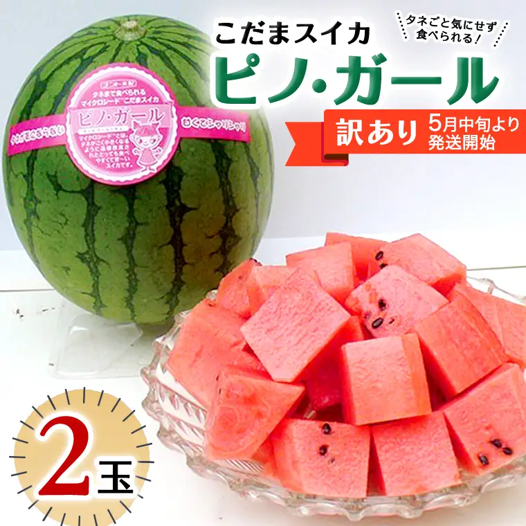 【 訳あり 】 こだまスイカ ピノ・ガール （ ２玉 ）【 2026年5月中旬より発送開始 】 感動必至！ タネが気にならない すいか スイカ 西瓜 旬 旬の果実 旬のフルーツ くだもの 果実 フルーツ 夏 小玉スイカ 小玉 美味しい 茨城 昼めし旅 [BC059sa]