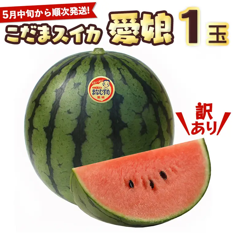 【訳あり】 際まで甘い こだまスイカ 愛娘 （１玉） 【2026年5月中旬より発送開始】 スイカ 西瓜 旬 旬の果実 旬のフルーツ くだもの 果実 フルーツ 夏 小玉スイカ 小玉 果物 美味しい 7000 昼めし旅 [BC060sa]