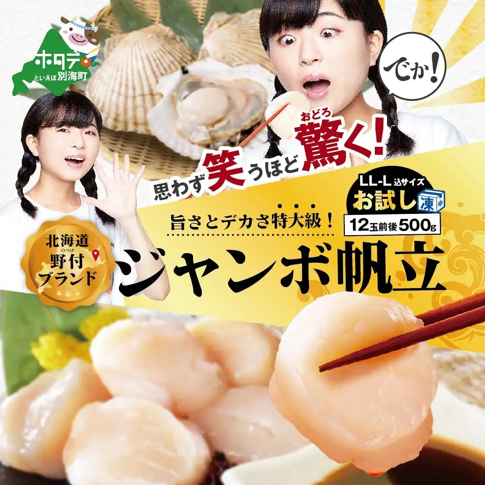 思わず笑うほど驚くお試しジャンボホタテ500g 北海道 野付産 ほたて 冷凍 玉冷 （ ほたて ホタテ 帆立 貝柱 北海道 野付 人気 ふるさと納税 ）