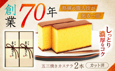 特製五三焼かすてら 詰め合わせ 2号セット / カステラ かすてら 五三焼 スイーツ 洋菓子 / 諫早市 / 株式会社異人堂 [AHBF004]