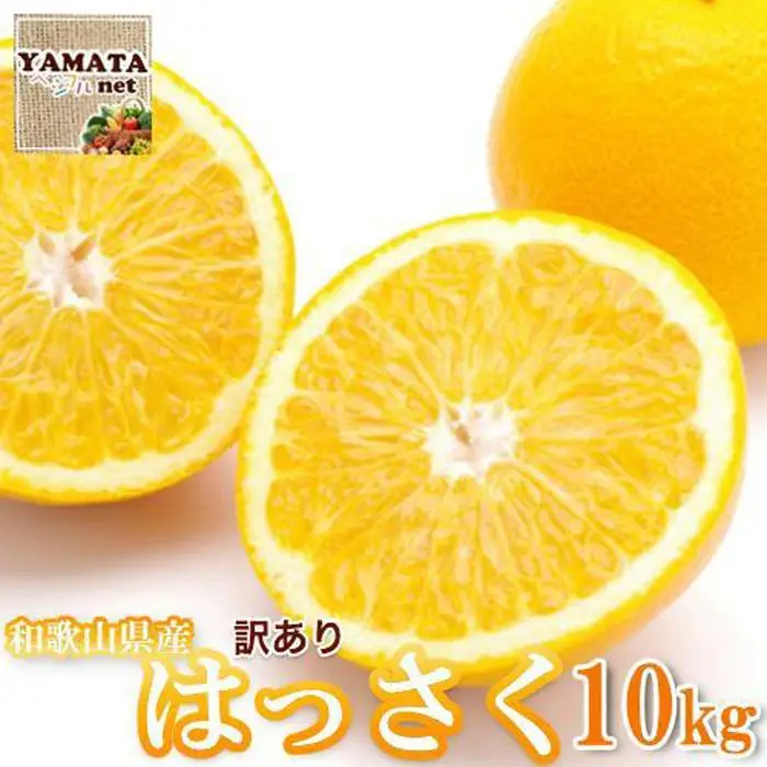［訳あり］はっさく 和歌山産 八朔 10kg ［ご自宅用・サイズ不揃い・キズ等あり］