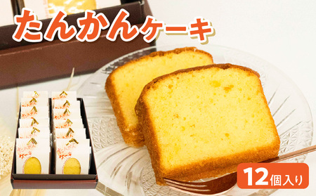 南の島の春を告げる香り豊かなたんかんケーキ！ W021-008u 冷凍 加工品 スイーツ