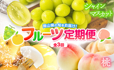 フルーツ定期便 3回 桃 シャインマスカット 梨