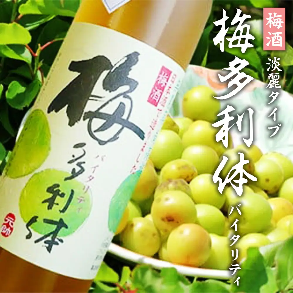 梅酒【梅多利体・バイタリティー】 お酒 梅酒 日本酒