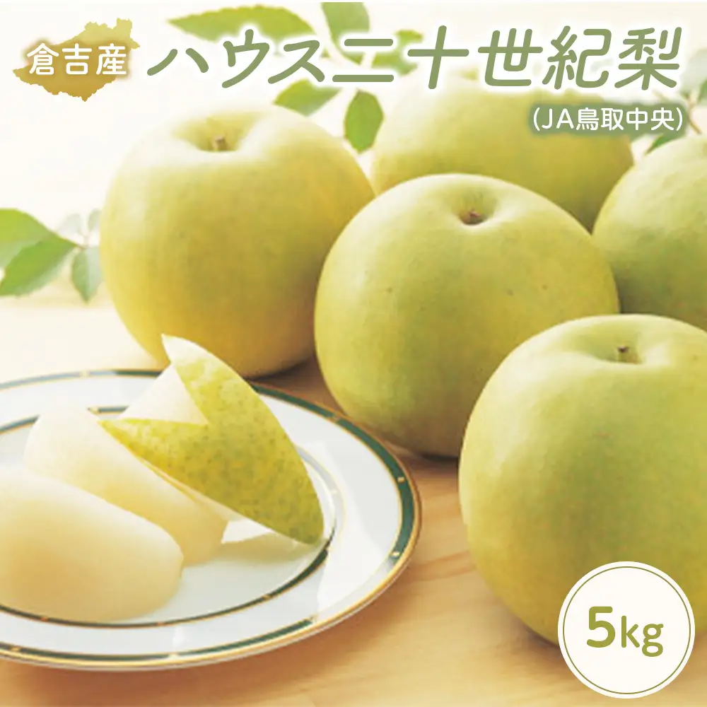 ハウス二十世紀梨【倉吉産】5kg（JA鳥取中央） 梨 果物 フルーツ