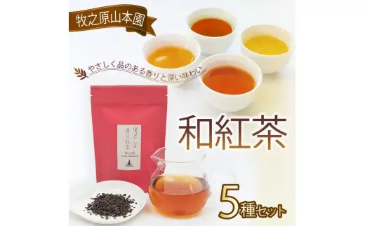 和紅茶 【 受賞歴多数  】 セレクトプレミアム 5種セット 和紅茶 