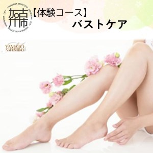【体験コース】バストケア《 美容 バスト エステ 体験 女性 ご褒美 贅沢 息抜き 》【2502L11804】