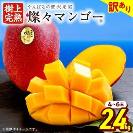 【2026年7月から順次発送・訳あり】燦々マンゴー2.4kg(4～6玉)_マンゴー_【1619692】
