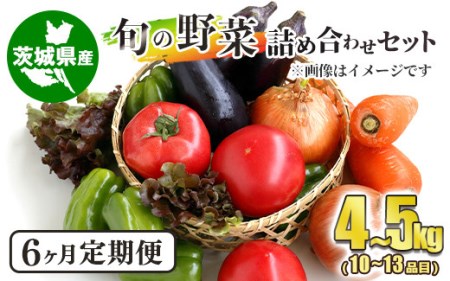 【定期便】旬の野菜詰め合わせセット 隔月6ヶ月 10～13品目 4～5kg