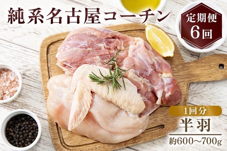 純系名古屋コーチン 定期便 (半羽×6回)【0872】