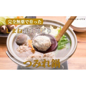 完全無薬で育った 銀山地どりの『つみれ鍋』2～3人前