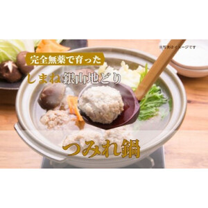 完全無薬で育った 銀山地どりの『つみれ鍋』4～5人前