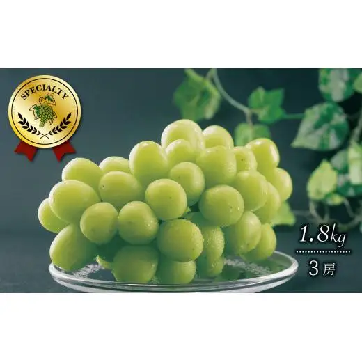 【2026年収穫分先行予約】果実の楽園まきぱらの特選シャインマスカット(種なし)約1.8kg(3房)