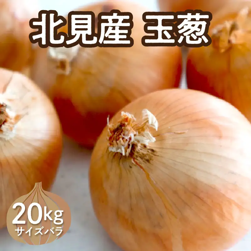 【予約：2026年10月下旬から順次発送】北見産玉ねぎ 20kg ( 機能性玉葱 サイズバラ 玉ねぎ たまねぎ タマネギ 玉葱 オニオン 野菜 北海道 長期貯蔵 )【133-0002-2026】