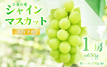 シャインマスカット 先行予約 R8年 果物 1房 約650g + 粒パック100g シャインマスカット