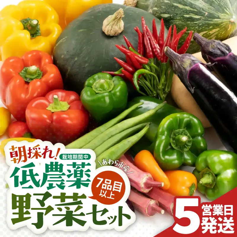 【5営業日発送！】農家直送 旬の野菜セット 7品目以上 1箱 ／ 季節 野菜 ボックス BOX セット セレクト 農家 おまかせ 多品目 旬 詰め合わせ 根菜 葉物 [aw028-a012]