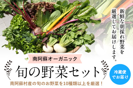 南阿蘇オーガニック 旬の野菜セット10種類以上詰め合わせ《30日以内に出荷予定(土日祝除く)》熊本県 南阿蘇村 野菜 カブ ビーツ サニーレタス クレソン ブロッコリー 水前寺菜 ほうれん草２種 チンゲン菜 春菊 スイスチャード