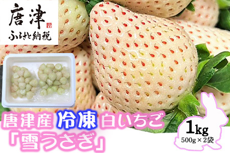 唐津産 冷凍白いちご「雪うさぎ」500g×2袋(合計1kg) 真空包装 加工品用 苺 イチゴ 希少 果物 フルーツ