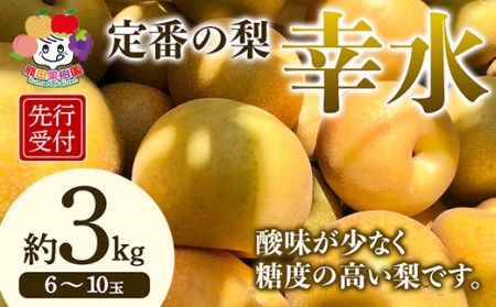 ＜先行予約＞定番の梨 幸水 約3kg（6～10玉） F21R-882