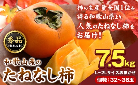 青秀以上 たねなし柿約7.5kg L~2Lサイズおまかせ32～36玉