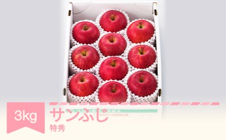 【先行予約】サンふじ 約3kg 特秀品 令和8年産 mm-risft3
