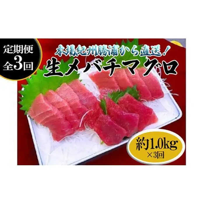 【定期便全3回】生まぐろ 約1kg まぐろ