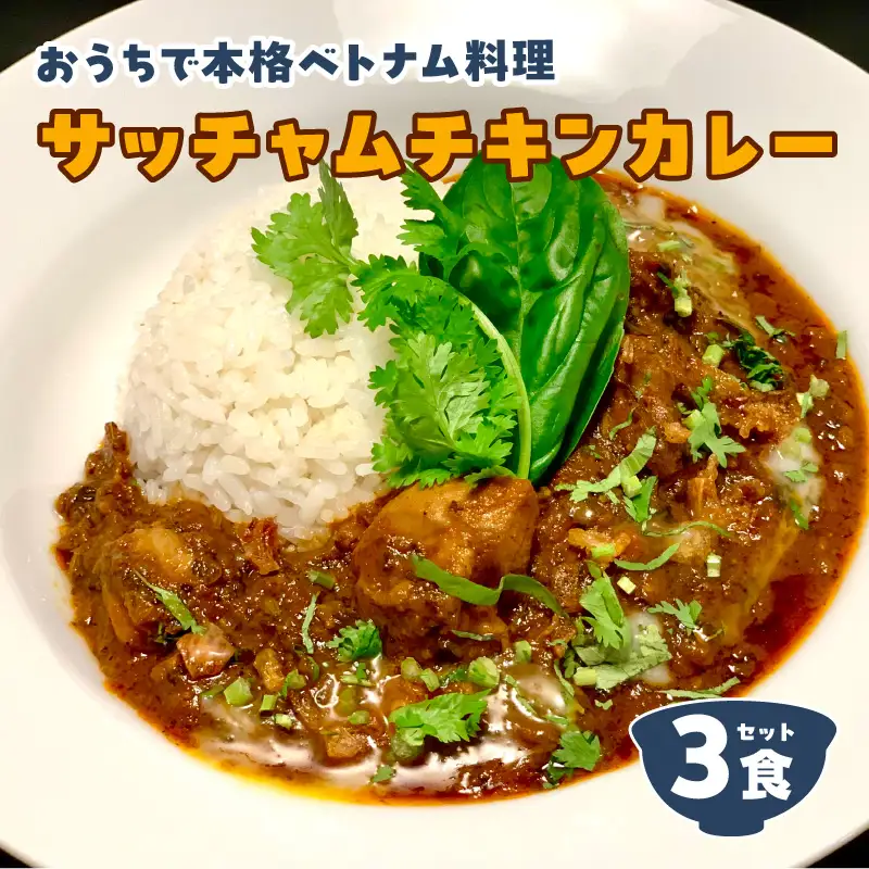 日本上陸【おうちで本格ベトナム料理】サッチャムチキンカレー（3食セット）_B020-008