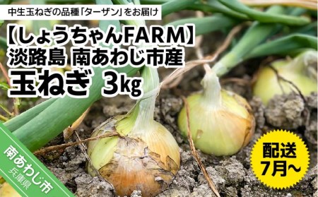 淡路島 南あわじ市産玉ねぎ3kg　◆配送7月～