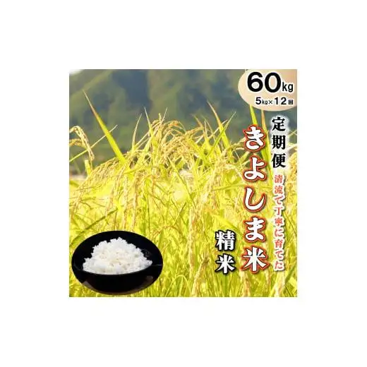 【定期便】きよしま米【精米】５kg×12か月[826] コシヒカリ