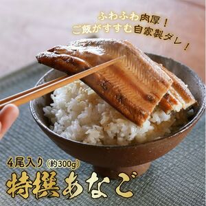 穴子 焼き穴子 4尾入 300g 蒲焼き 小分け 真空パック