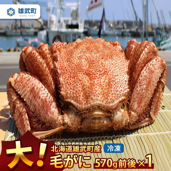 大!毛がに（冷凍）北海道雄武町産(570g前後×1)【1240201】