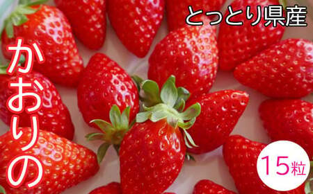 【先行予約】鳥取県産いちご かおりの 15粒（ギフト箱入）【イチゴ 苺 フルーツ 果物 かおりの かおり野 大粒 減農薬栽培 ギフト プレゼント 季節限定 先行予約】