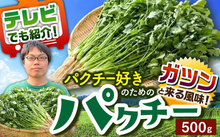 パクチー好きのための パクチー 500g 江口農園[UBF008] 