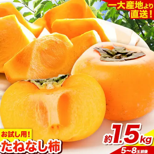 柿 お試し用! たねなし柿 約1.5kg