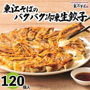 東江そばのバクバク冷凍生餃子　120個入｜東江そば　餃子　