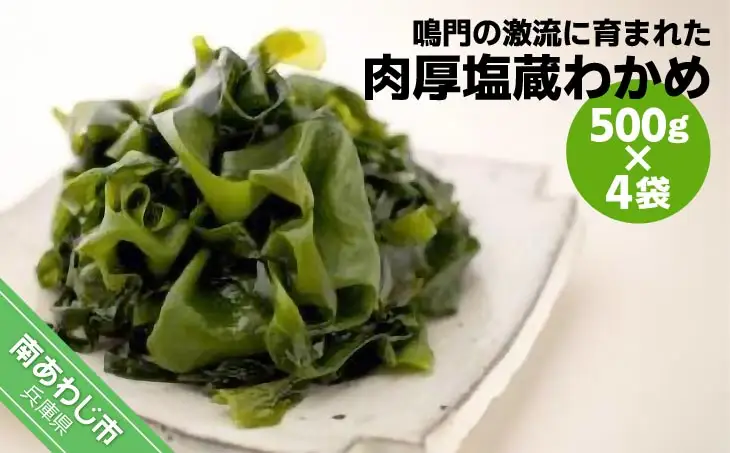 【山田海産物】肉厚塩蔵わかめ500g×4袋入り