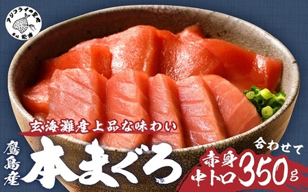 鷹島産本まぐろ柵(赤身・中トロ) 合わせて350g( 魚 新鮮 柵 流水解凍 人気)【B4-127】