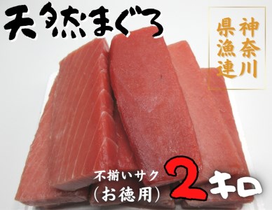 神奈川県漁連 三崎まぐろ 2kg【 お徳用 】 不揃いサク M077-009 冷凍 マグロ