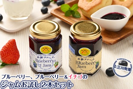 上三川産のブルーベリー、ブルーベリー&イチゴのジャムお試し２本セット | 果物 フルーツ 国産 栃木県上三川町産 自家製ジャム 手作りジャム 無添加 保存料不使用 添加物不使用 減農薬