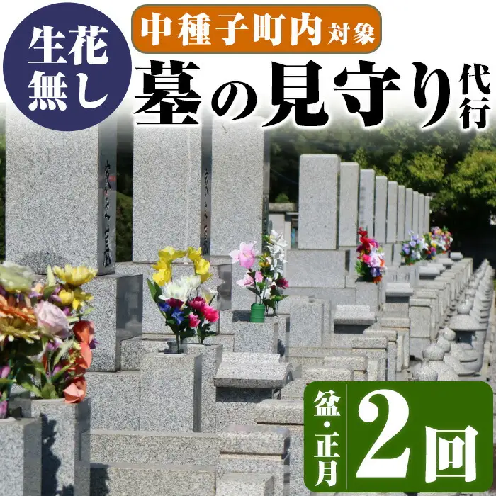 n130 ＜生花無し＞ 墓地 清掃 お墓 見守り サービス 2回 盆・正月 除草 管理 【中種子町シルバー人材センター】
