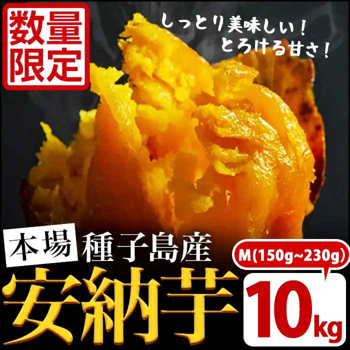 数量限定！種子島産 安納芋 Mサイズ・10kg 紅 さつまいも 【JA種子屋久】n046