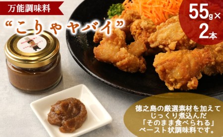 万能調味料 ”こりゃやばい” 2本 セット 55g×2本 ペースト 旨味 調味料 BK-1