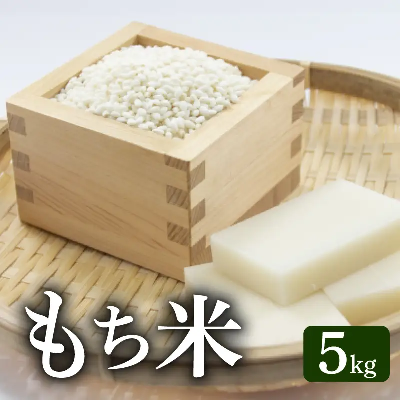 《令和8年産》モチ米 5kg こめ コメ おこめ 精米 お米 ごはん おコメ AS003