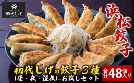 浜松餃子【餃王座グランプリ優勝】初代しげの人気餃子3種お試しセット（合計48個入り）【配送不可：離島】 惣菜 冷凍 中華 点心 夕飯 おかず つまみ 冷凍餃子 国産厳選豚 モチモチ 秘伝のスパイス 食べ比べ 