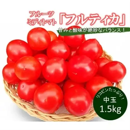 フルーツミディトマト中玉1.5kg_野菜 フルーツトマト トマト _【配送不可地域：離島】【1070779】
